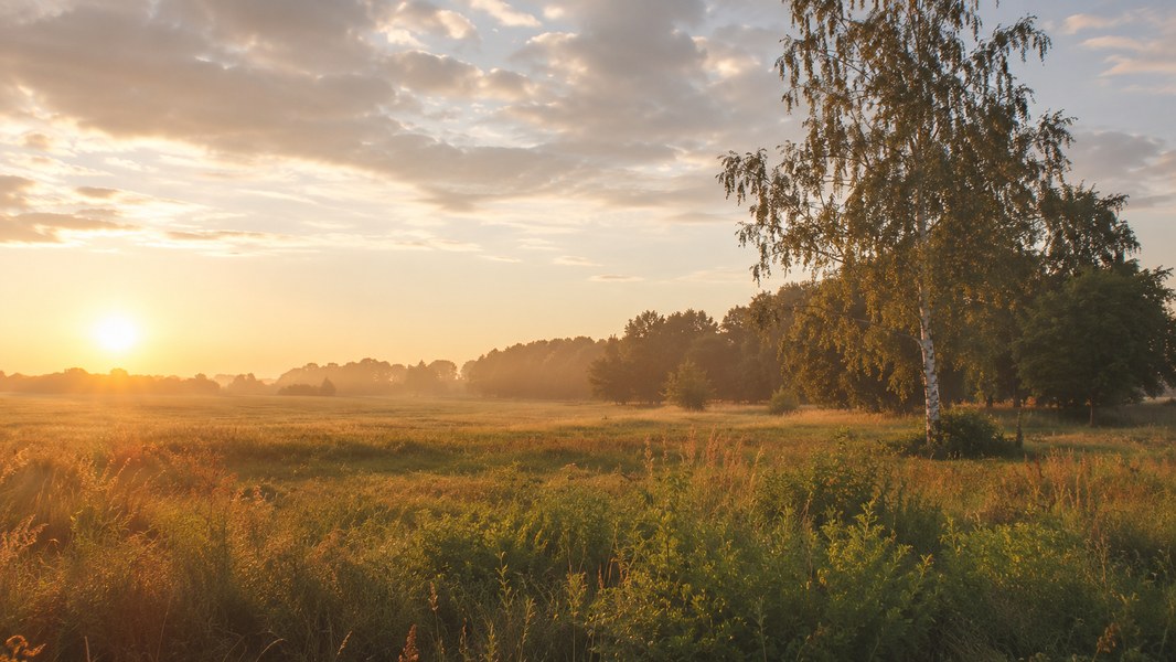 Weite Landschaft der Lausitz bei Sonnenaufgang